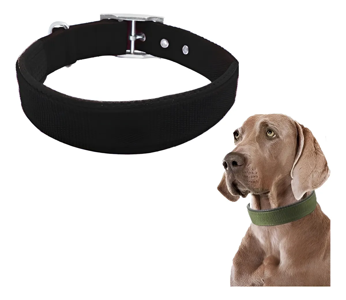 Conjunto Collar y Correa